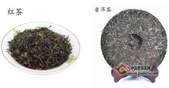 怎样分辨普洱茶是不是红茶