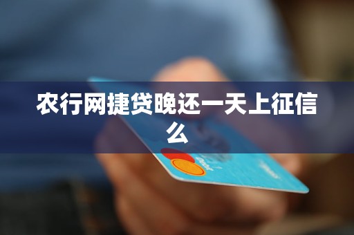 农行网捷贷有三天宽限期吗