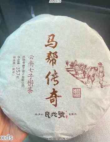 马帮传奇：2012年普洱茶之巅