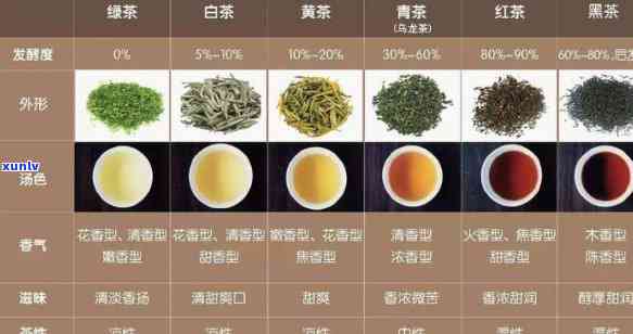 普洱茶与乌龙茶的区别及其功能特性分析