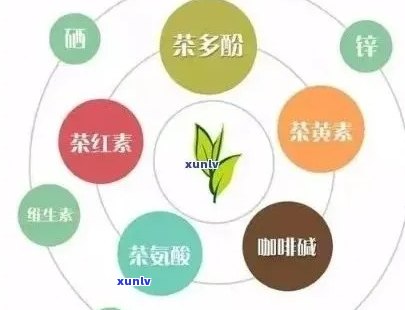 维生素B族能和茶一起喝吗