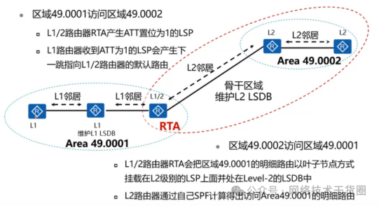 标题建议：渤海钻珠与翠珠的比较分析——了解它们之间的关键差异及用途