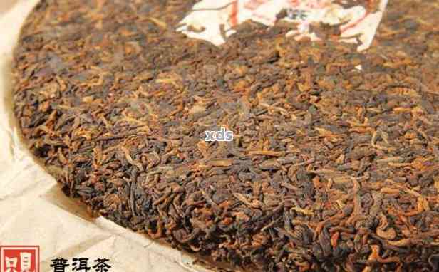 普洱茶存放年限及品质影响研究