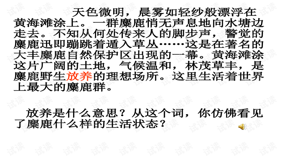 白玉莲什么意思