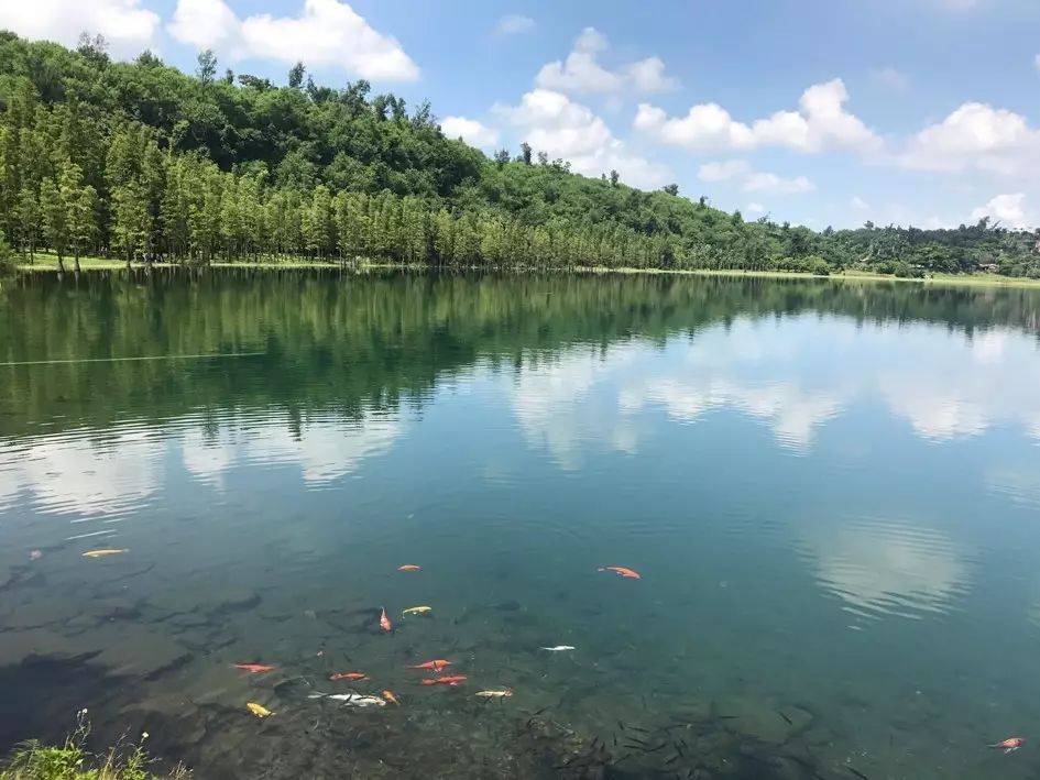 晴水之韵：揭秘清澈湖水的奥秘