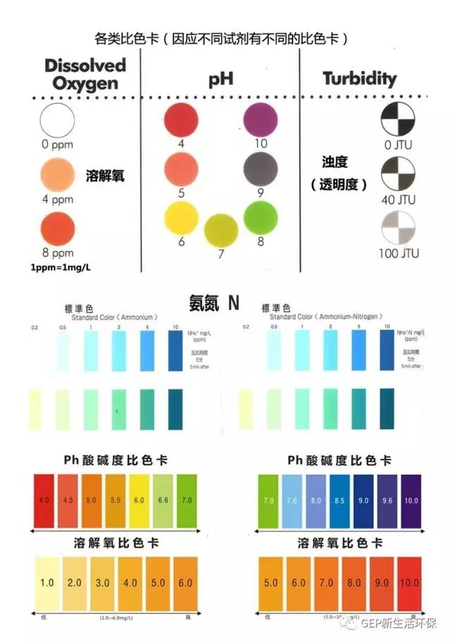 晴水的颜色选择与观赏指南 - 探索适合不同情境的晴水颜色搭配