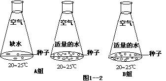 晴水的颜色选择与观赏指南 - 探索适合不同情境的晴水颜色搭配