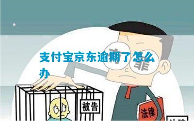 支付宝和京东欠款怎么办