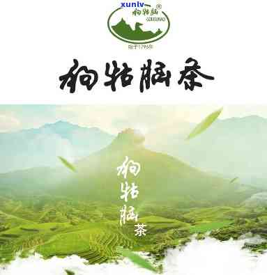 狗牯脑茶：全方位解读其对健的六大益处