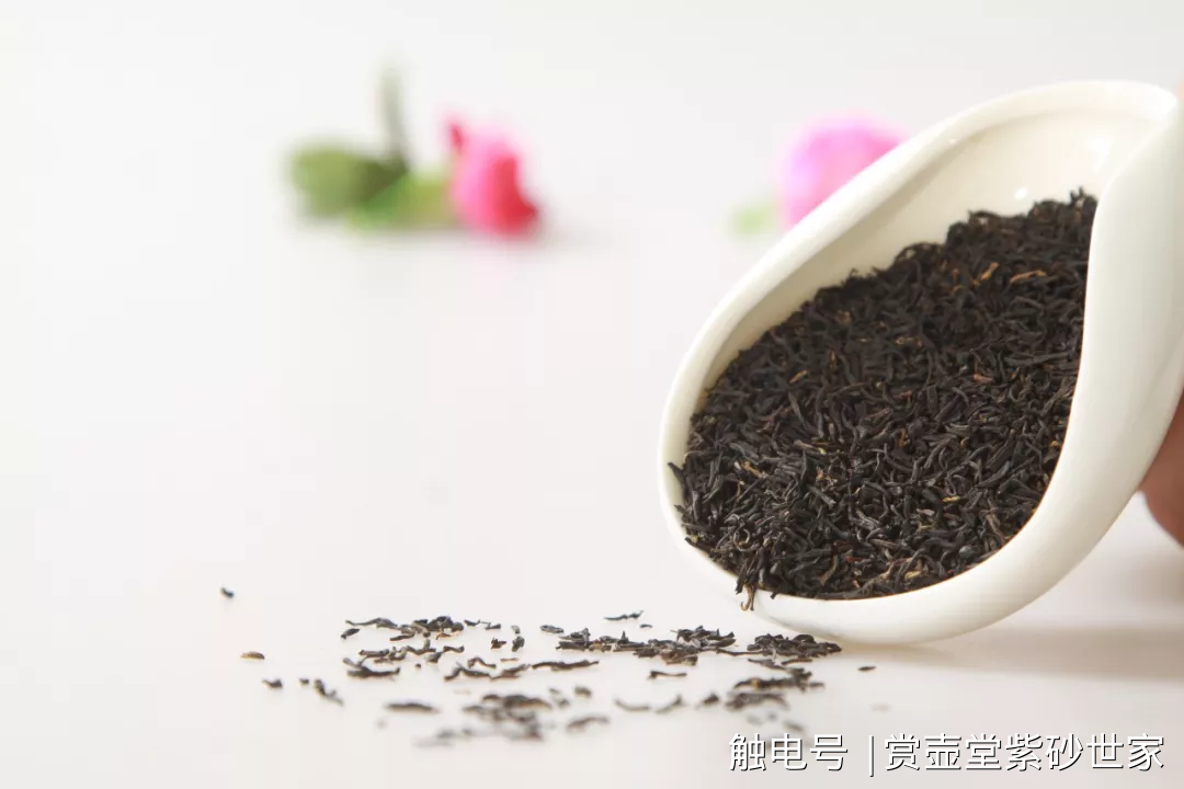 红茶是碎茶好还是整条好