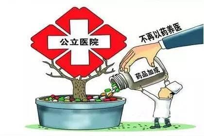 祛湿茶引起不适：全面解析与预防措