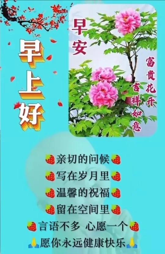 2018年普洱茶清风玉露价格及价值解析