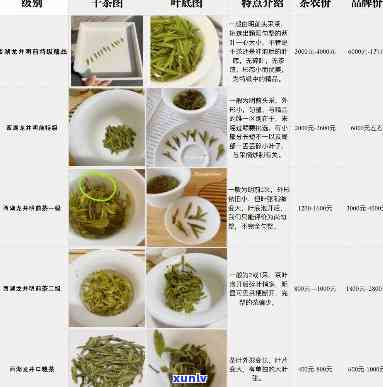 如何计算茶叶每克的价格：基础指导与实用技巧