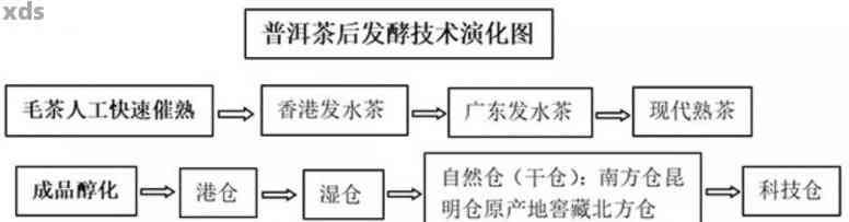 普洱茶创新发酵工艺研究