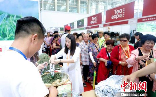 天津普洱茶专卖店地址查询，天津普洱茶专卖店电话，天津市普洱茶专卖店