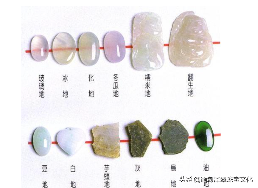 豆种紫翡翠的进化与特性全面解析