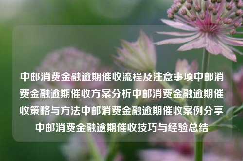 中邮消费金融邮你贷逾期流程解析