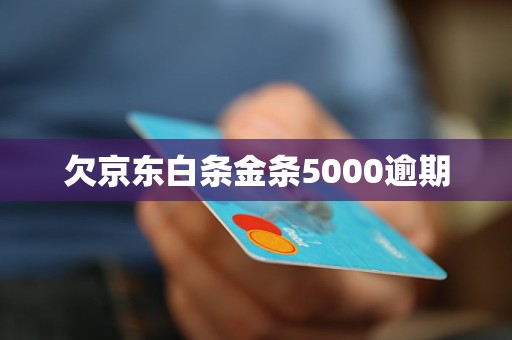 欠白条5000逾期400天怎么办