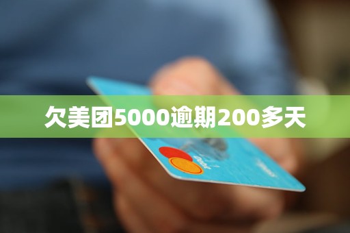 欠白条5000逾期400天怎么办