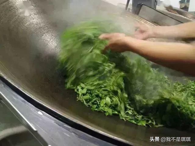 普洱茶中的酵素：解析其对健的影响与科学原理