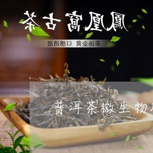 普洱茶和绿茶的酶