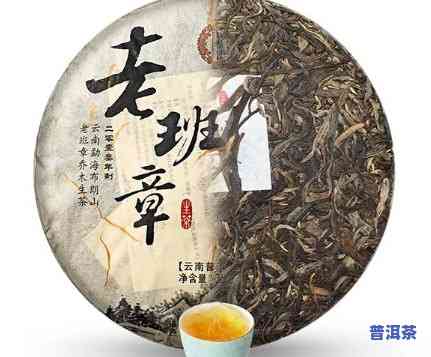 老班章古树茶是什么茶？老班章属于什么档次？老班章古树茶的特点功效