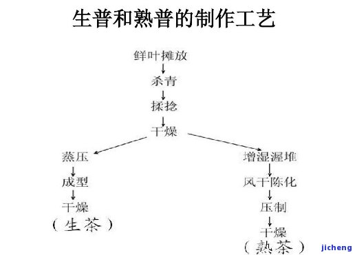 '生普洱的加工工序'