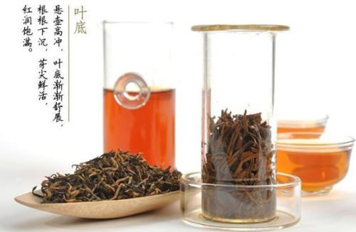 新红茶特级与特一级品质比较指南