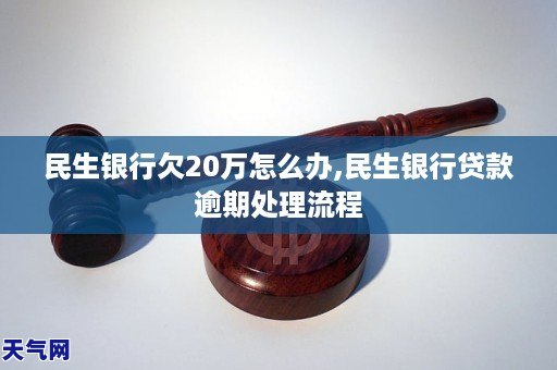 欠民生银行贷款被起诉后怎样商量处理