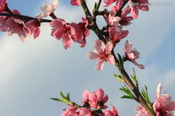 带什么形状的玉旺桃花