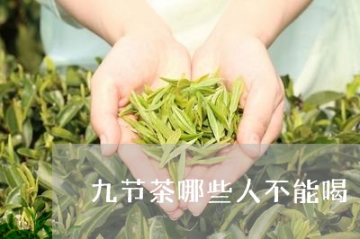 高效减肥茶饮精选：揭秘天然草药与茶叶的完美组合