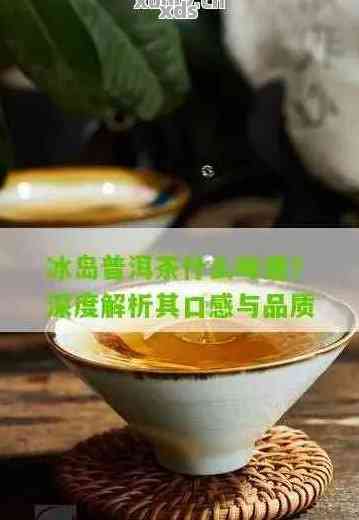 冰岛普洱茶品鉴指南：全面探索普洱生茶的魅力