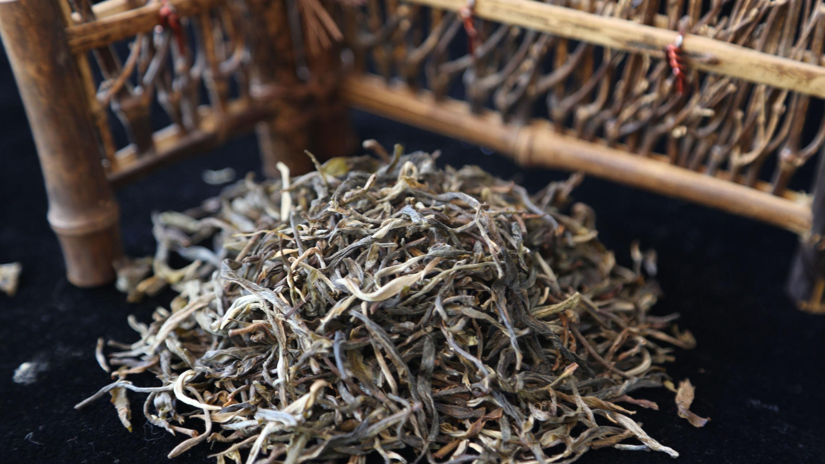 小荒田古树普洱茶特点