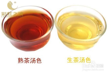 生熟普洱茶哪种减肥快一点