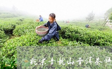 龙山青饼普洱茶