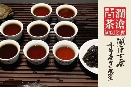 澜沧古茶：熟茶与生茶的品鉴比较