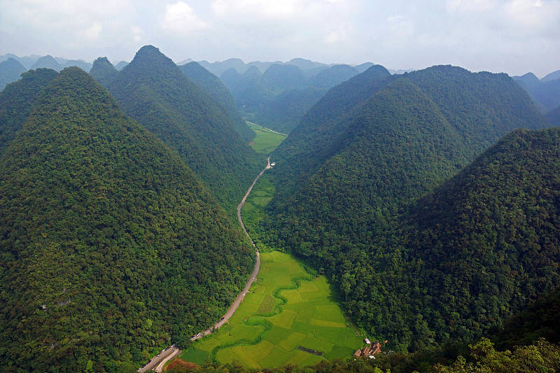 云南茂兰自然保护区综合指南：自然探索、生态旅行与文化体验