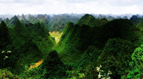 云南茂兰自然保护区综合指南：自然探索、生态旅行与文化体验