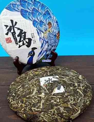 冰岛古树茶饼价格与品质比较指南