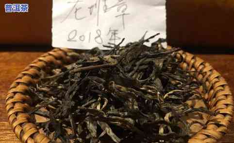 古树茶叶价格与鉴别指南：如何辨别正宗昔归古树茶及其市场价格？