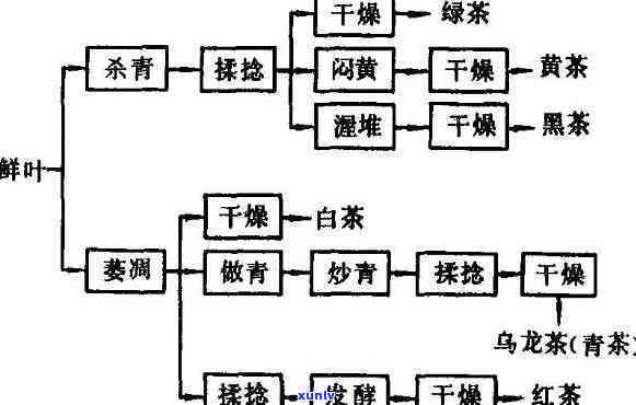 新茶叶加工中杀青技术详解：原理、过程与效果评估