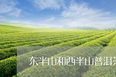 勐库西半山的茶叶与东半山的茶叶哪个好？