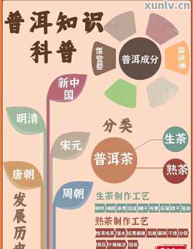 探究普洱7452的多维度解读：从历、文化到实用功能解析