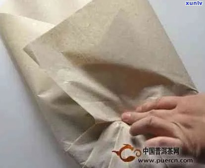 普洱茶纸洞问题解决方案指南