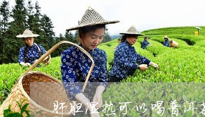 '探讨肝胆湿热患者饮用普洱茶的适宜性及其对健的影响'