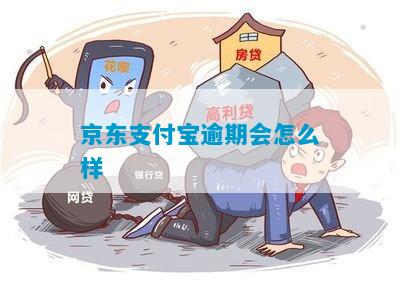 支付宝和京东金条逾期该如何处理