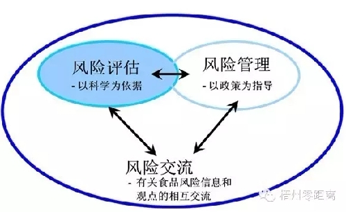 独龙玉的好处与潜在影响：全面评估其正面效应与可能的风险