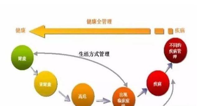 独龙玉的好处与潜在影响：全面评估其正面效应与可能的风险