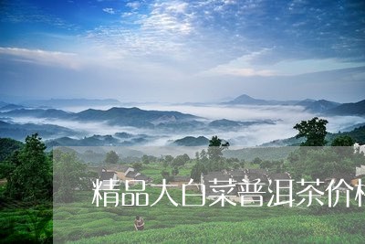 普洱大白菜茶叶价格对比表