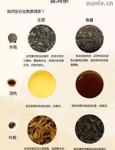 帝泊洱即溶普洱茶珍功效：区分生茶与熟茶